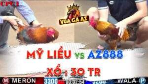 Trận 15 CPC1 18/06/2024 - Gà AZ888 Chiến Thắng Ngay Trận Đầu Ra Quân