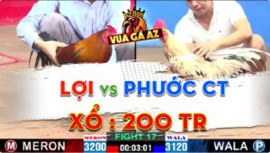 Trận 17 CPC2 30/06/2024 - Gà Bướm Phước Cần Thơ Đá Siêu Tốc Độ