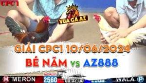 Trận 18 Giải CPC1 10/06/2024 - Gà AZ888 Trình Làng Khiến Đối Thủ Đứng Không Nổi