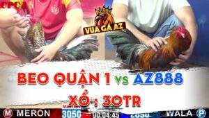 Trận 8 CPC1 15/06/2024 - Gà AZ888 Tiếp Tục Đại Náo Thomo