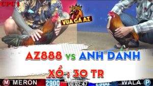 Trận 9 CPC1 17/06/2024 - Tính Gaking Thả Gà Dí Bạc, Nhưng Thua Ngược