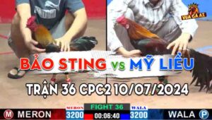 Trận 36 CPC2 10/07/2024 - Anh Bảo Sting Tiếp Tục Trên Màu Anh Mỹ Liều