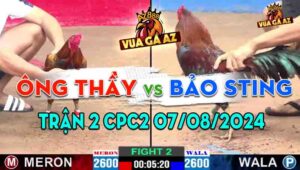 Trận 2 CPC2 07/08/2024 - Anh Bảo Sting Ra Quân Đụng Phải Ông Thầy
