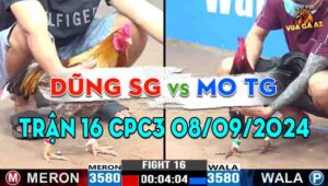 Trận 16 CPC3 08/09/2024 - Gà Anh Dũng Sài Gòn Lật Kèo Ngoạn Mục