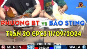 Trận 20 CPC2 11/09/2024 - Bảo Sting Và Phương Bến Tre, Xổ 500 Triệu