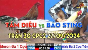 Trận 30 CPC2 27/09/2024 - Anh Tám Diệu Đối Đầu Anh Bảo Sting