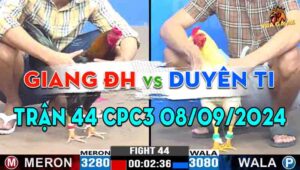 Trận 44 CPC3 08/09/2024 - Gà Duyên Ti Đối Đầu Giang Đức Hòa