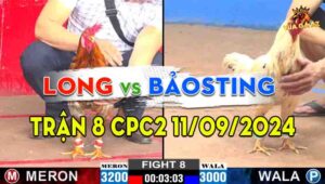 Trận 8 CPC2 11/09/2024 - Anh Bảo Sting Bị Anh Long Chấm Dứt