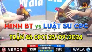 Trận Giải 48 CPC3 28/09/2024 - Anh Luật Sư CPC Và Anh Minh Bến Tre