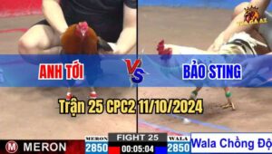 Trận 25 CPC2 11/10/2024 giữa anh Tới và anh Bảo Sting