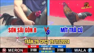 Trận 29 CPC3 19/11/2024 - Anh Sơn Sài Gòn B Gặp Anh Mít Trà Cú