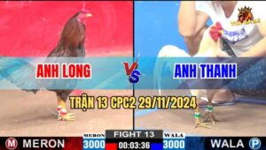 Trận 13 CPC2 29/11/2024 - Anh Long Nhảy Lambada Khi Giành Chiến Thắng