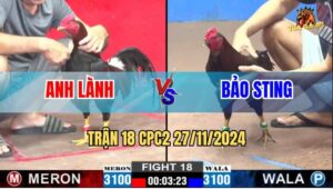 Trận 18 CPC2 27/11/2024 - Lật Kèo Ăn 2, Anh Em Theo Bảo Sting Ra Đảo