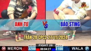 Trận 28 CPC2 27/11/2024 - Bướm Hiệu Bảo Sting Đá 3 Cái Đối Thủ Bỏ Chạy