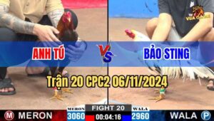 Trận 20 CPC2 06/11/2024 giữa anh Tú và anh Bảo Sting