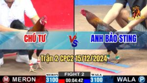 Trận 2 CPC2 15/12/2024 - Điều Cọp Anh Bảo Sting Đá 1 Nốt Nhạc Lụm Lúa
