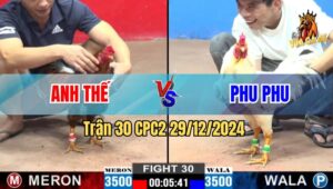 Trận 30 CPC2 29/12/2024 - Khét Anh Thế Lụm Xổ Bướm Anh Phu Phu