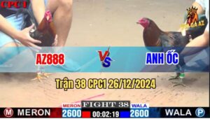 Trận 38 CPC1 26/12/2024 - Gà AZ888 Đá Một Cước Nói Lên Tất Cả