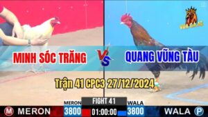 Trận 41 CPC3 27/12/2024 Gà Anh Minh Sóc Trăng Quá Nhanh Quá Nguy Hiểm