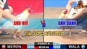 Trận 5 CPC2 6/12/2024 - Cuộc Đối Đấu Đỉnh Cao Giữa Anh Nhí Và Anh Danh