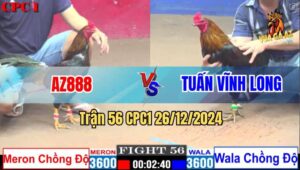 Trận 56 CPC1 26/12/2024 - Gà AZ888 Chồng Độ Hạ Luôn Anh Tuấn Vĩnh Long