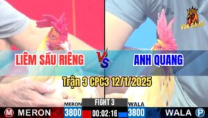 Trận 3 CPC3 12/1/2025 - Gà Bướm Anh Liêm Có Chân Trí Mạng Lụm Lúa