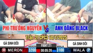 Trận 21 CPC3 14/1/2025 - Đẳng Cấp 1 Cân 3, Sinh Đôi Cũng Thành Đối Thủ
