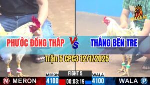 Trận 5 CPC3 12/1/2025 - Anh Phước Đồng Tháp Đối Đầu Anh Thắng Bến Tre