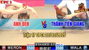 Trận 17 CPC1 22/2/2025 - Idol Tính Gaking Không Làm Anh Em Thất Vọng