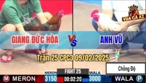 Trận 25 CPC3 9/2/2025 - Bông Chưa Kịp Đá Mất Cái Xổ 300 Với Vàng Phèn