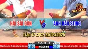 Trận 17 CPC1 21/3/2025 - Gà Điều Anh Bảo Sting Bị Đá Gãy Giò Bỏ Chạy