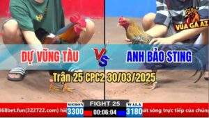 Trận 25 CPC2 30/3/2025 - Gà Cú Anh Bảo Stinh Có Chân mai Độ Cứu Chủ