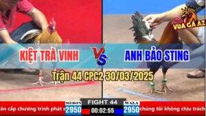 Trận 44 CPC2 30/3/2025 - Anh Kiệt Dí Bạc Idol Bảo Sting Và Cái Kết