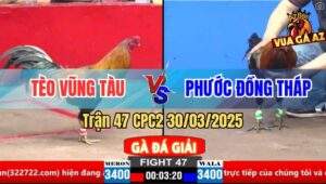 Trận 47 CPC2 30/3/2025 - Gà Anh Tèo Vũng Tàu Đá Chân 1 Lụm Gần 2 Gậy