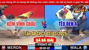 Trận 48 CPC2 2/3/2025 - Anh Bảo Sting Bị Anh Kẽm Vĩnh Châu Gạt Giò