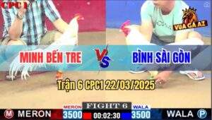 Trận 6 CPC1 22/3/2025 - Bướm Má Minh Chậm Chân Mà Trắc Cựa