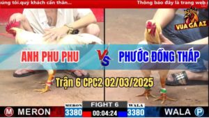 Trận 6 CPC2 2/3/2025 - Gà Anh Phước Đồng Tháp Bẻ Giò Gà Anh Phu Phu
