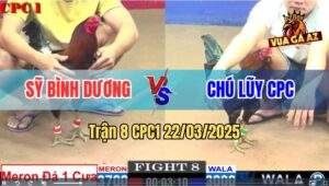 Trận 8 CPC1 22/3/2025 - Tính GaKing Thả Gà Kém 7 Chấm Đá Bự Bung Bồ