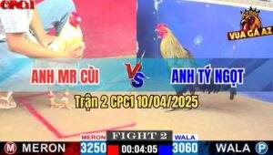 Trận 2 CPC1 10/4/2025 - Gà Chuối Anh Tý Đá Cúp Điện Gà Bướm Anh MR Cùi