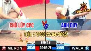 Trận 2 CPC3 22/4/2025 - Gà Úa Chú Lũy Đá Gà Anh Duy Tốc Chạy