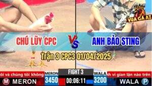 Trận 3 CPC3 1/4/2025 - Chú Lũy Hạ Anh Bảo Sting Sau 1 Tay Nước