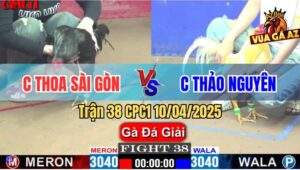 Trận 38 CPC1 10/4/2025 - Chị Thoa Sài Gòn Và Chị Thảo Nguyên