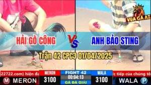 Trận 42 CPC3 1/4/2025 - Bướm Hiệu Anh Bảo Sting Dí Bạc Bị Đá Gãy Giò