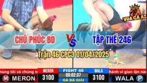 Trận 46 CPC3 1/4/2025 - Chú Phúc Gạt Giò Tập Thể 246 Thành Công