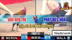 Trận 51 CPC3 9/4/2025 - Gà Anh Phát Chồng Độ Đá 2 Cây Trên, Lụm Xổ 500