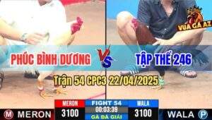 Trận 54 CPC3 22/4/2025 - Gà Bướm Chú Phúc Có Chân Dứt Điểm Hốt Bạc Tỷ