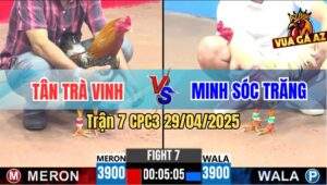Trận 7 CPC3 29/4/2025 - Bướm Anh Minh Bao Bồ Thắng Tang Vẫn Ngã Ngựa