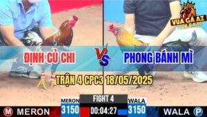 Trận 4 CPC3 18/5/2025 - Điều Bông Đá Gà Que Anh Phong Đứng Không Nổi