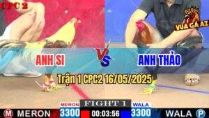 Trận 1 CPC2 16/5/2025 – Anh Si Vs Anh Thảo Đồng Nai
