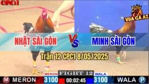 Trận 12 CPC1 8/5/2025 - Anh Nhật Sài Gòn Và Anh Minh Sài Gòn